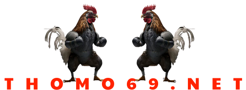 Thomo69