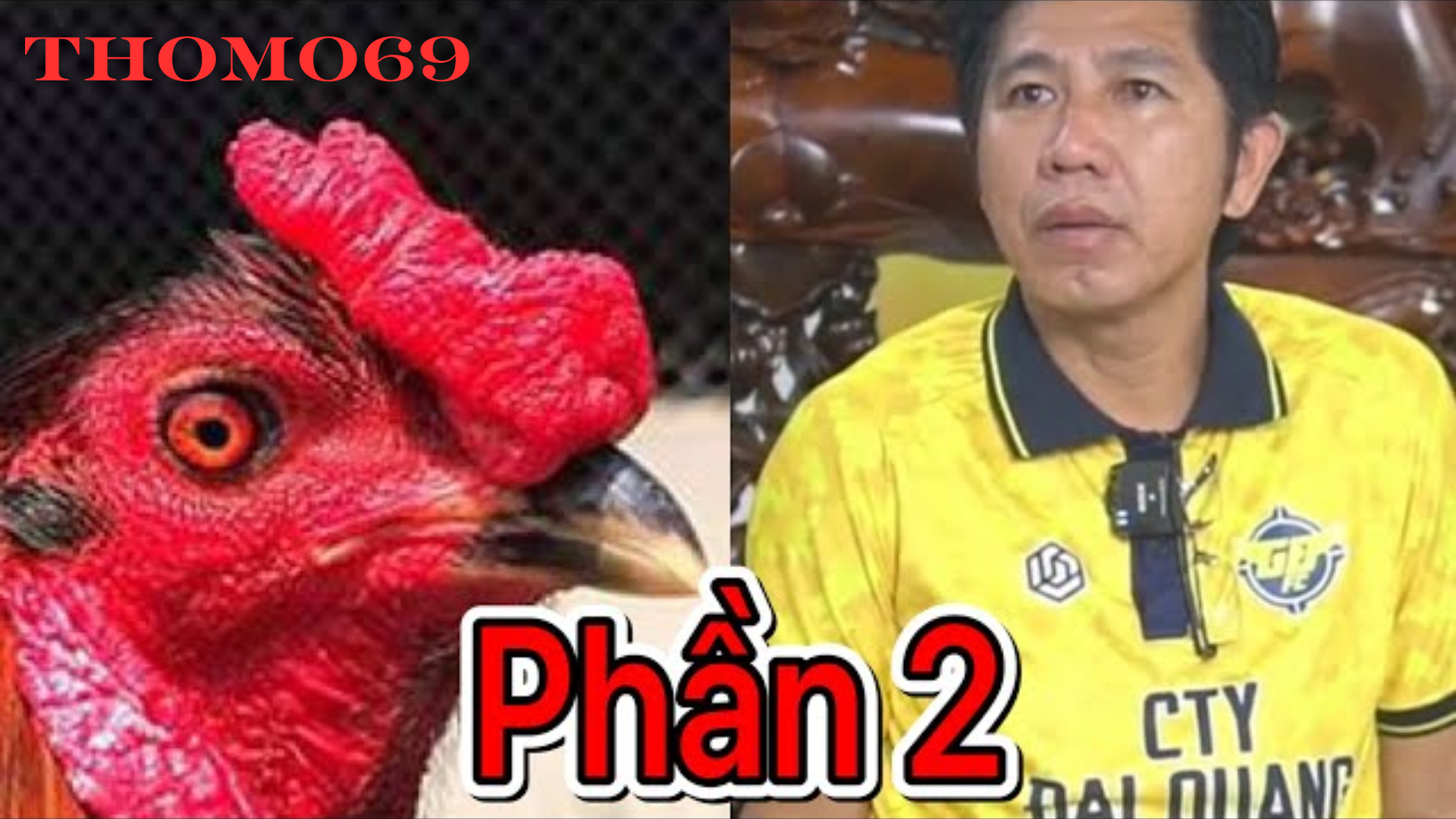 Huyền Thoại gà Xanh Trích Sừng - Thomo69