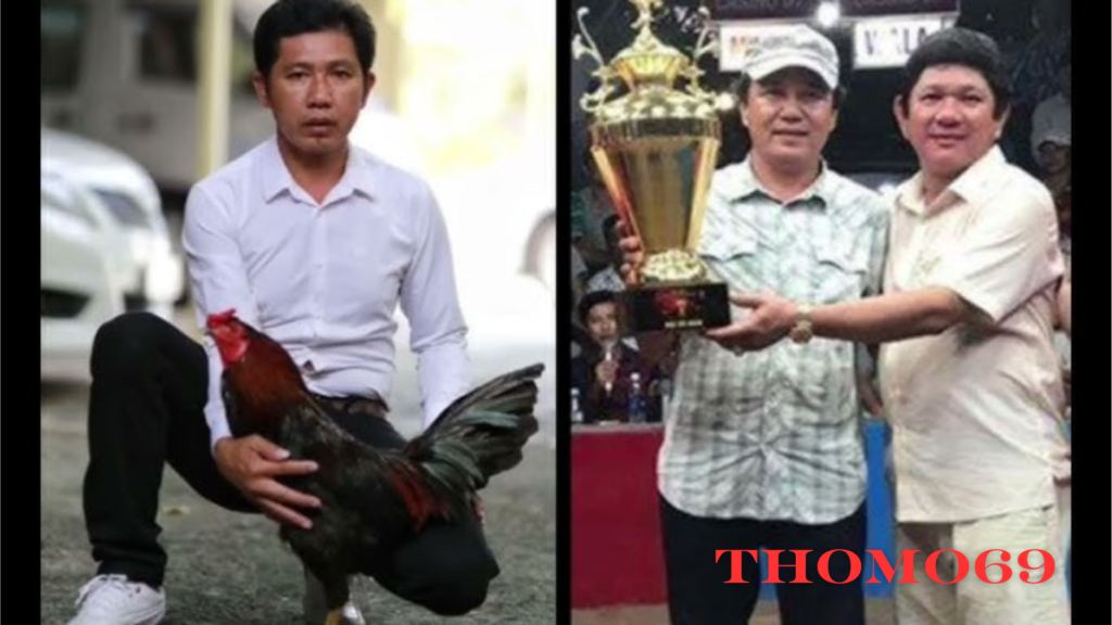 Huyền Thoại gà Xanh Trích Sừng - Thomo69