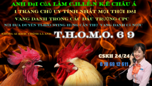 Khám Phá Thế Giới Của Nhà Cái Đá Gà Thomo CPC Thomo 69 - BJ88