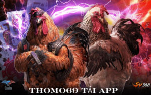 tải App Đá Gà Thomo 69