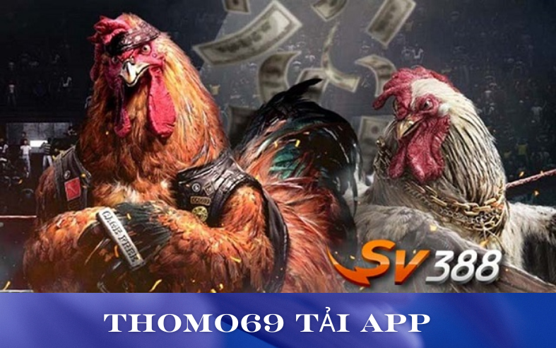 tải App Đá Gà Thomo 69